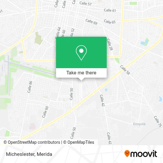 Micheslester map