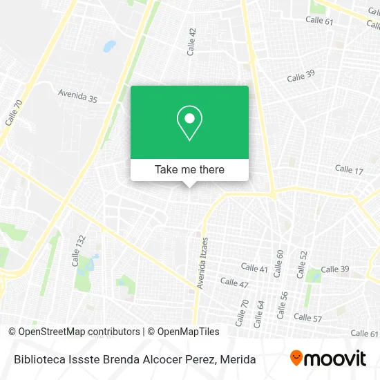 Biblioteca Issste Brenda Alcocer Perez map