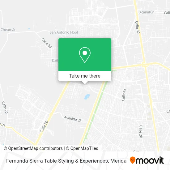 Fernanda Sierra Table Styling & Experiences map