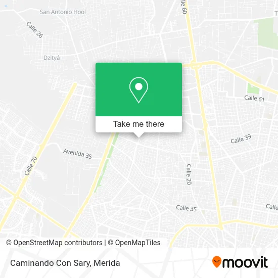 Caminando Con Sary map