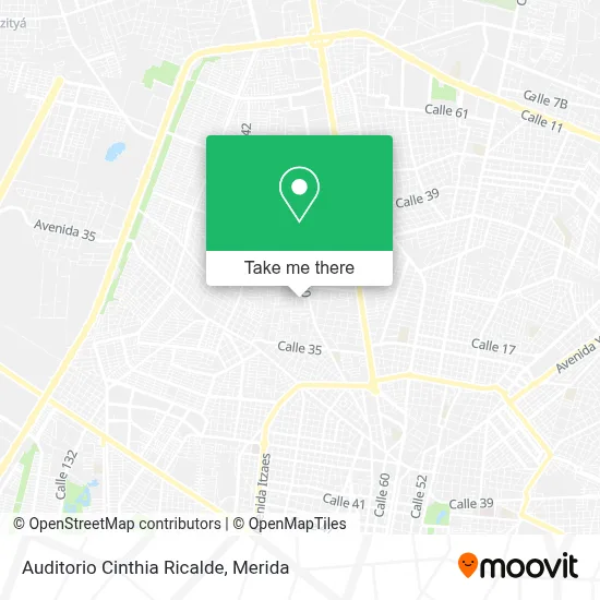 Auditorio Cinthia Ricalde map