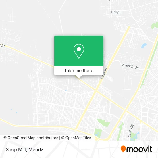 Shop Mid map