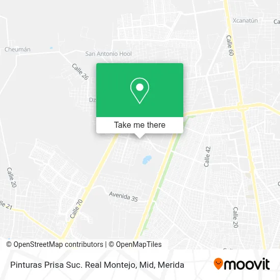 Pinturas Prisa Suc. Real Montejo, Mid map