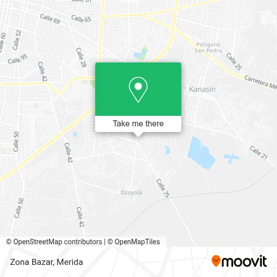 Zona  Bazar map
