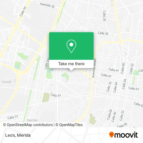 Leo's map