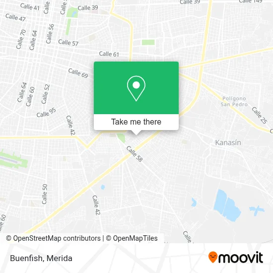 Buenfish map