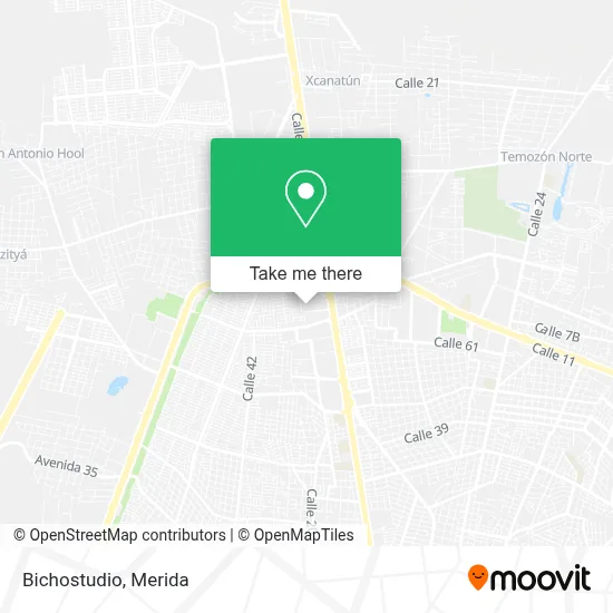 Bichostudio map