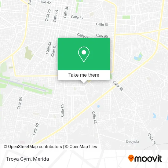 Troya Gym map