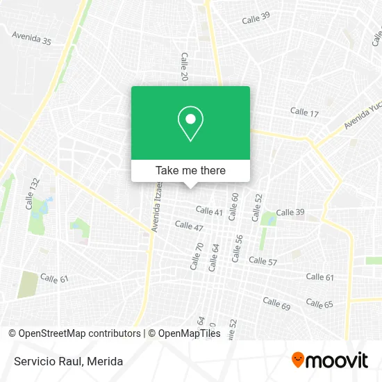Servicio Raul map
