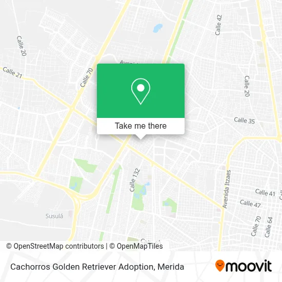 Cachorros Golden Retriever Adoption map
