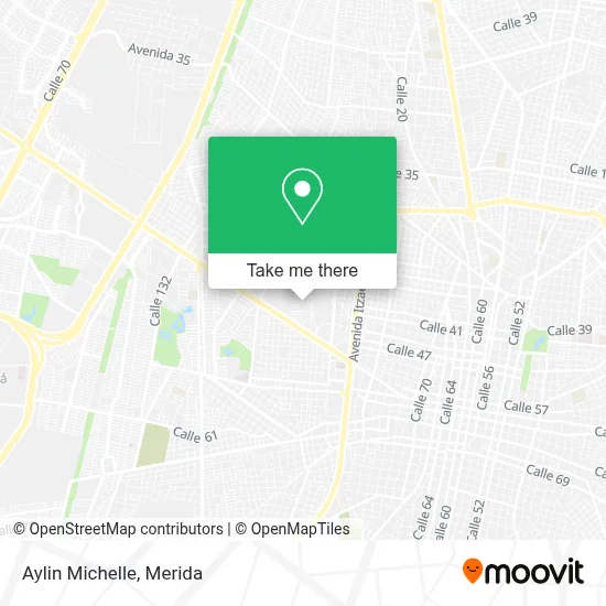Aylin Michelle map