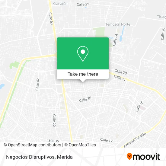 Negocios Disruptivos map