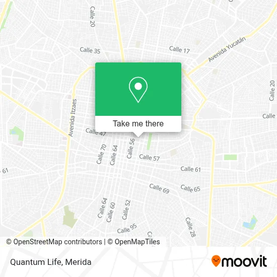 Quantum Life map