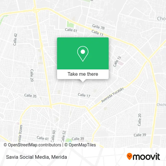 Savia Social Media map