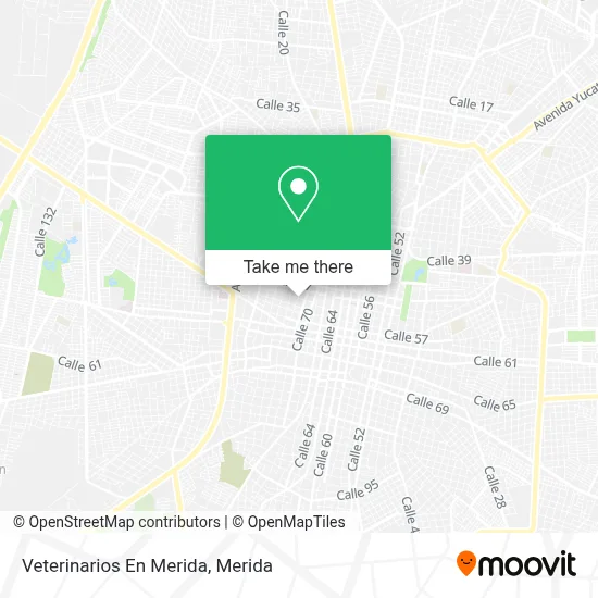 Veterinarios En Merida map