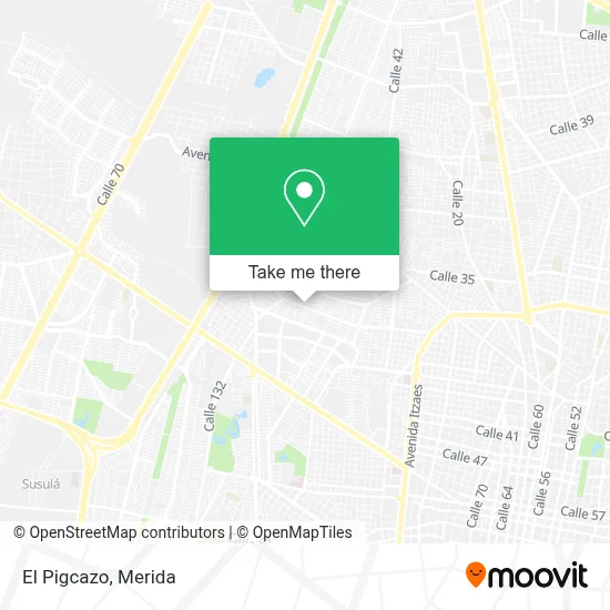 El Pigcazo map