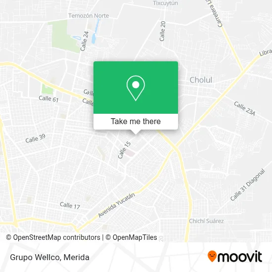 Grupo Wellco map