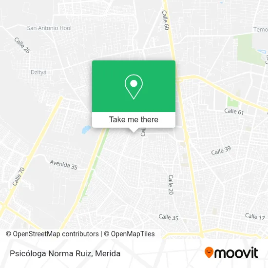 Psicóloga Norma Ruiz map