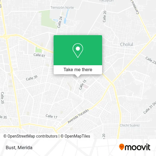 Bust map