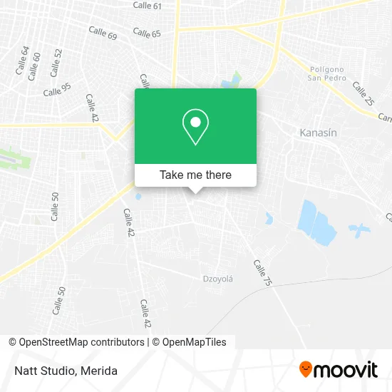 Natt Studio map