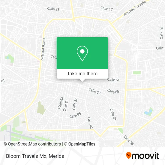 Bloom Travels Mx map