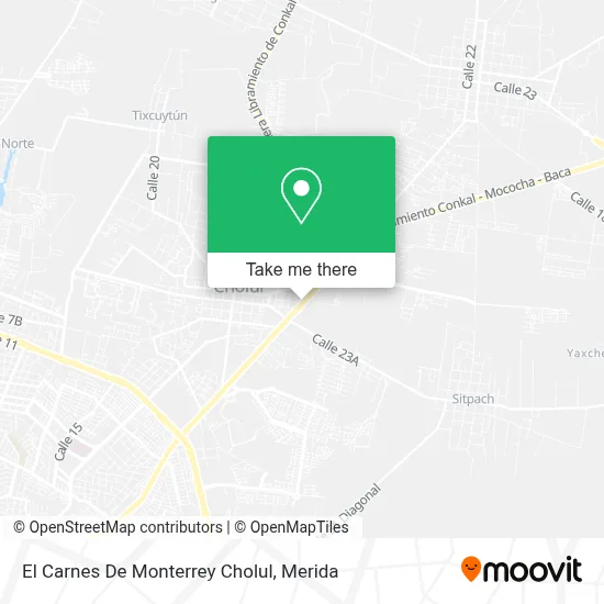 El Carnes De Monterrey Cholul map