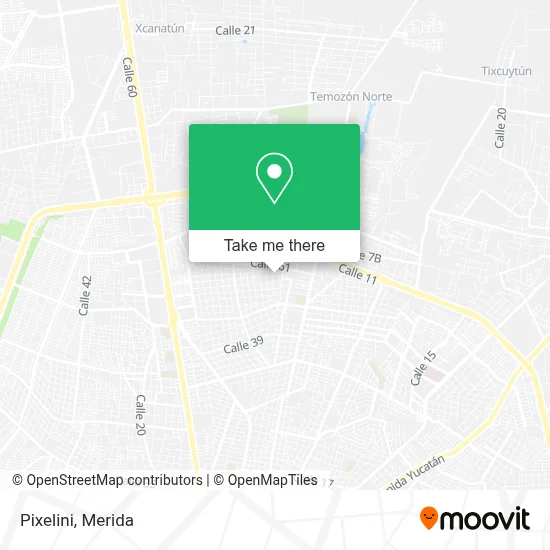 Pixelini map
