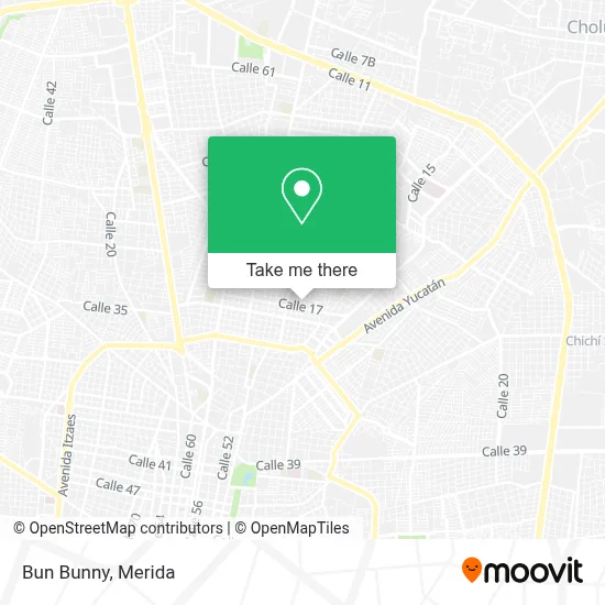 Bun Bunny map