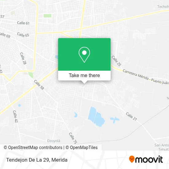 Tendejon De La 29 map