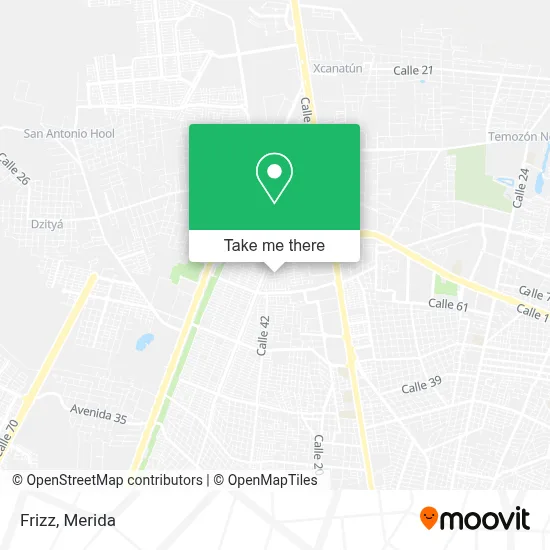 Frizz map