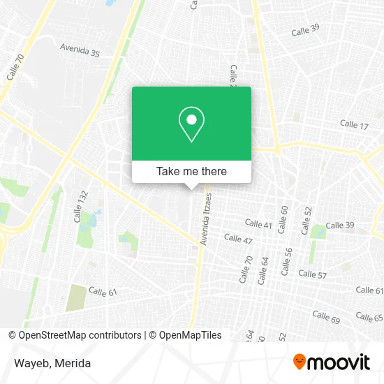 Wayeb map