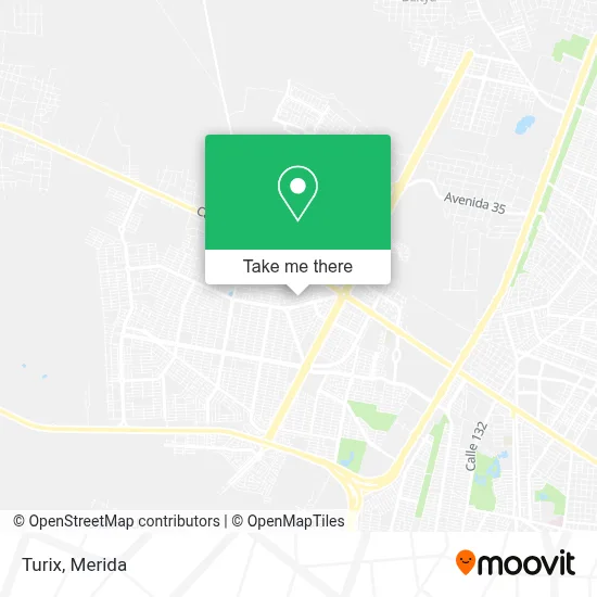 Turix map