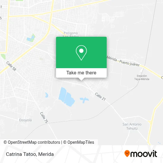Catrina Tatoo map