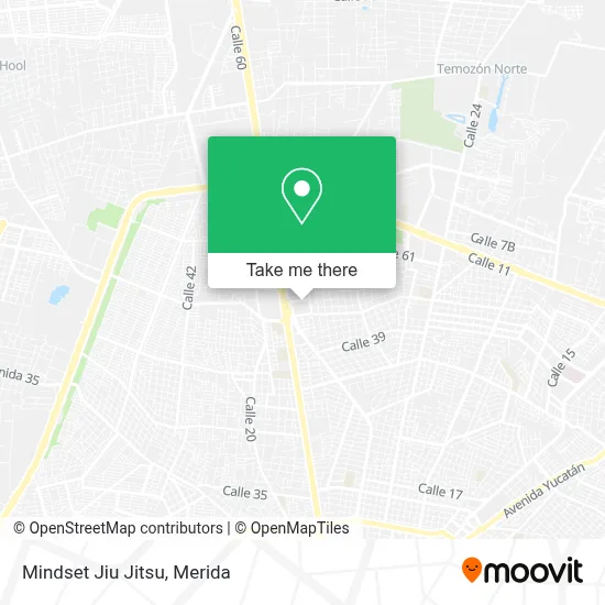 Mindset Jiu Jitsu map