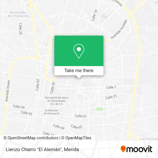Mapa de Lienzo Charro "El Alemán"