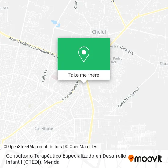 Mapa de Consultorio Terapéutico Especializado en Desarrollo Infantil (CTEDI)