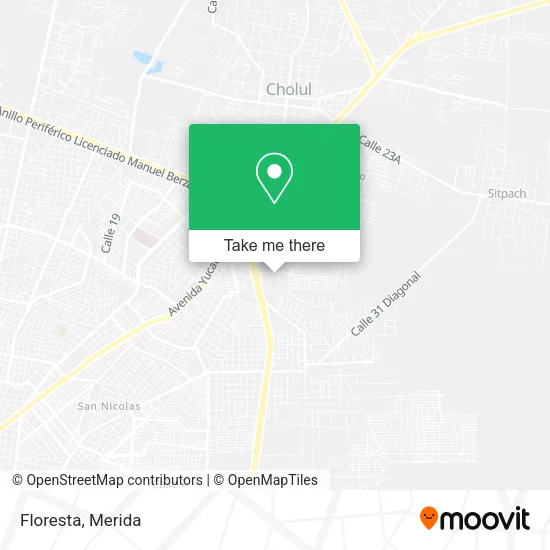 Mapa de Floresta