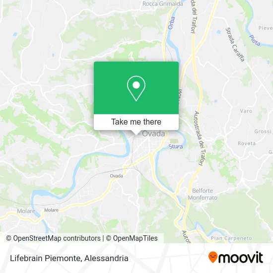 Lifebrain Piedmont map