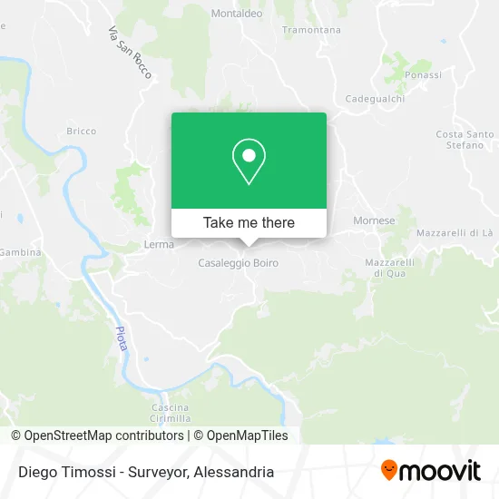 Diego Timossi - Surveyor map