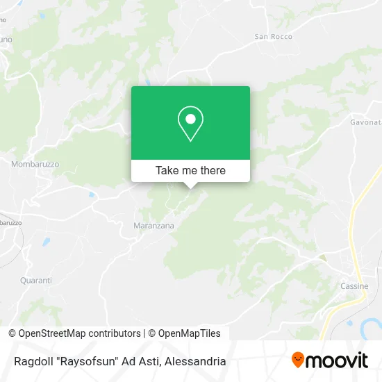 Ragdoll "Raysofsun" Ad Asti map