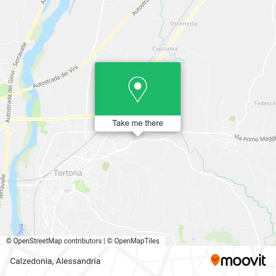 Calzedonia map