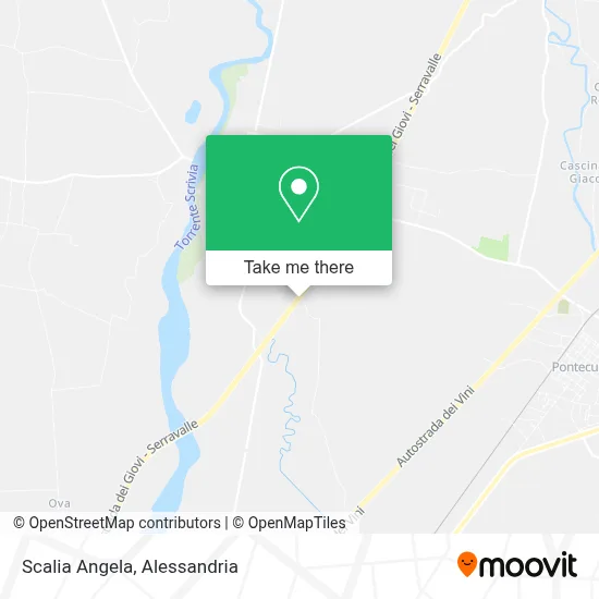 Scalia Angela map