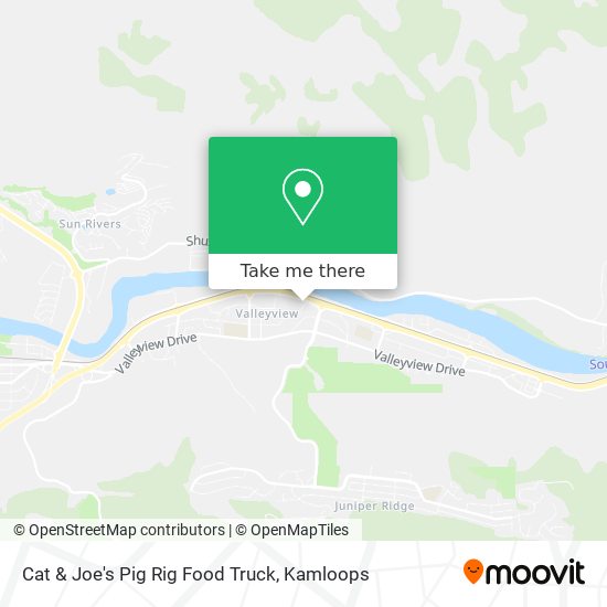 Cat & Joe's Pig Rig Food Truck plan