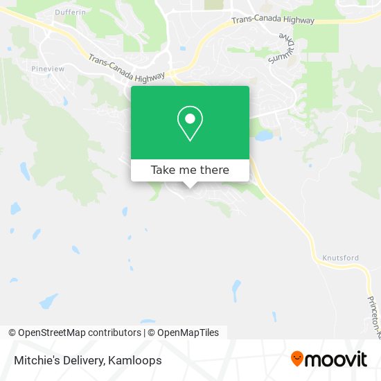 Mitchie's Delivery map