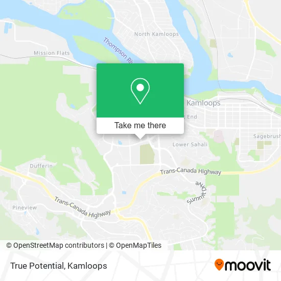 True Potential map