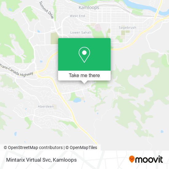 Mintarix Virtual Svc map