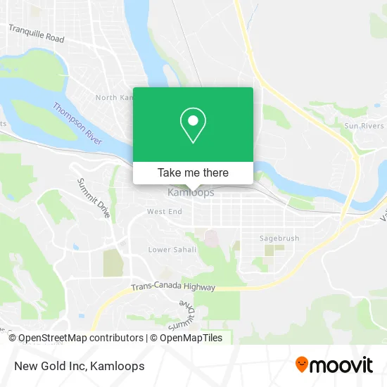 New Gold Inc map