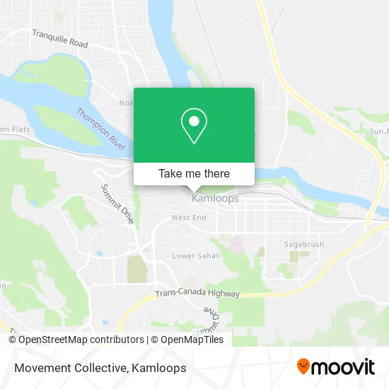 Movement Collective plan