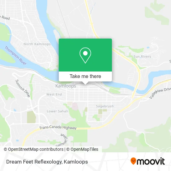 Dream Feet Reflexology map