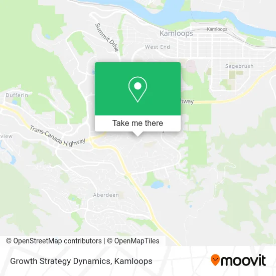 Growth Strategy Dynamics map